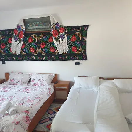 Casa Dalina Homestay Rona de Jos