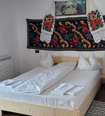 Casa Dalina Homestay Rona de Jos
