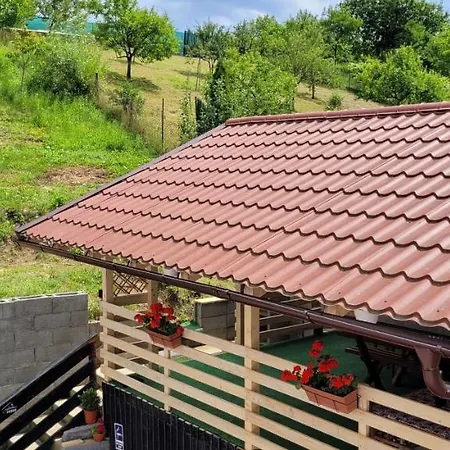 Casa Dalina Rona de Jos